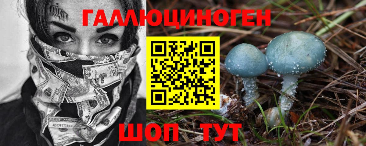 Псилоцибиновые грибы MAGIC MUSHROOMS Тула